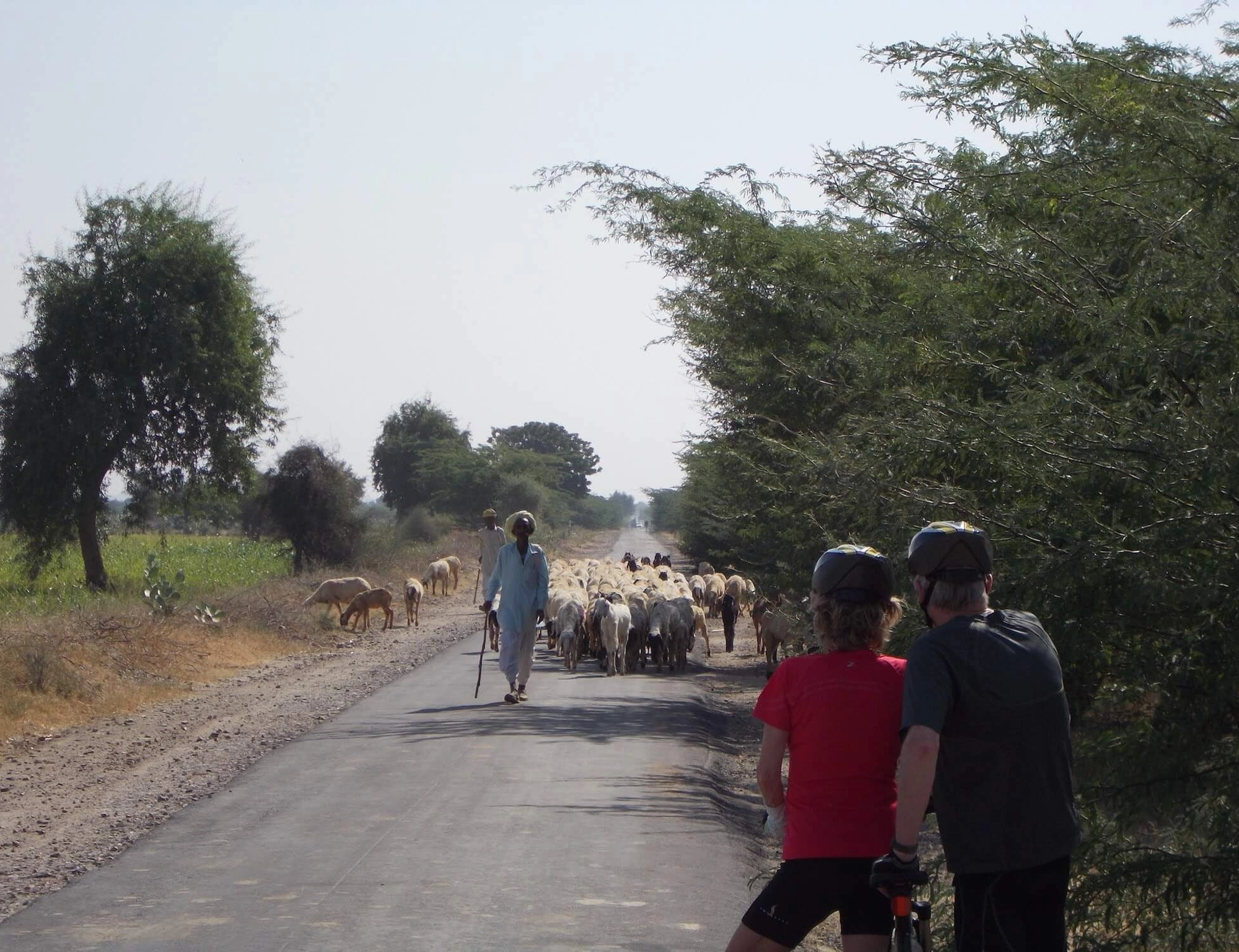 8 Days Rajasthan Short Experience Bike Tour
